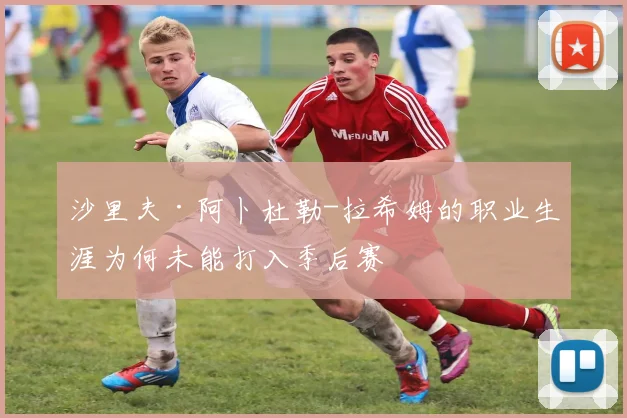 沙里夫·阿卜杜勒-拉希姆的职业生涯为何未能打入季后赛