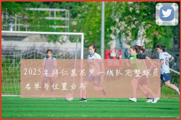 2025年拜仁慕尼黑一线队完整球员名单与位置分布