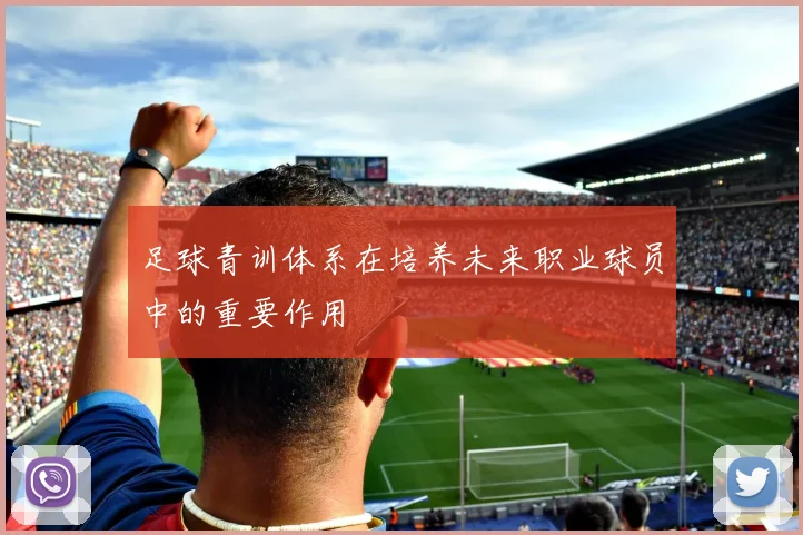 足球青训体系在培养未来职业球员中的重要作用