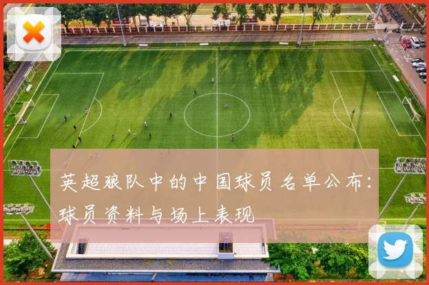 英超狼队中的中国球员名单公布：球员资料与场上表现