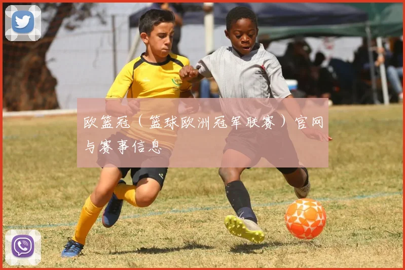 欧篮冠（篮球欧洲冠军联赛）官网与赛事信息