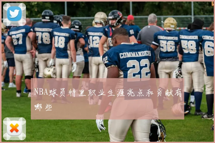 NBA球员特里职业生涯亮点和贡献有哪些