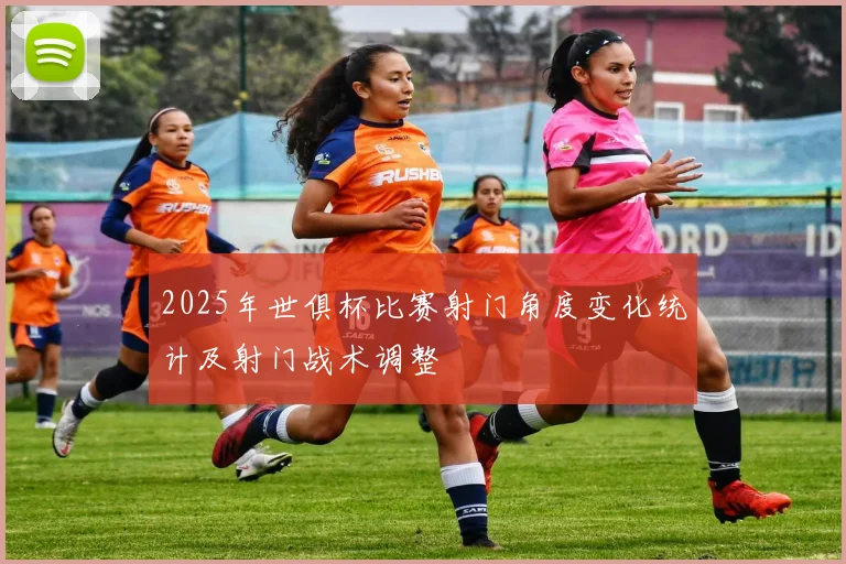 2025年世俱杯比赛射门角度变化统计及射门战术调整